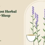 The 7 Best Herbal Teas for Sleep, Ranked by Evidence – HerbMagazines botanical illustration