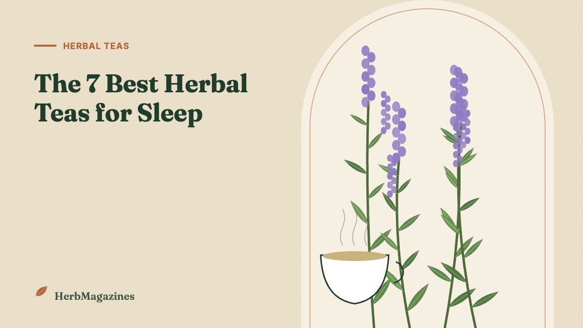 The 7 Best Herbal Teas for Sleep, Ranked by Evidence – HerbMagazines botanical illustration