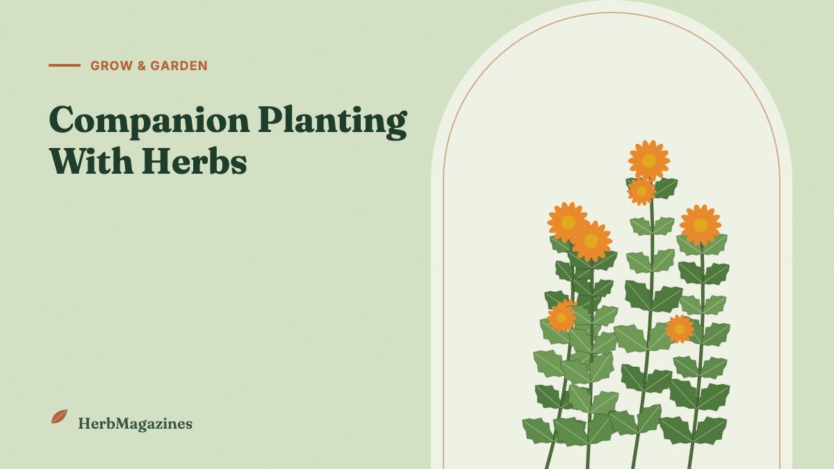 Companion Planting With Herbs: What to Grow Together (and What Not To)
