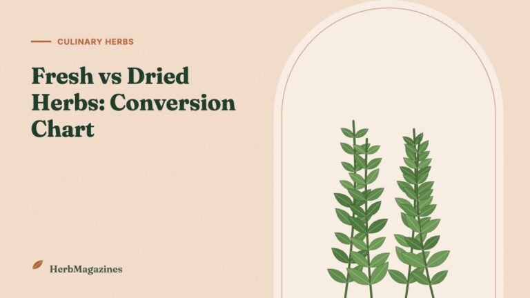 Fresh vs Dried Herbs: Conversion Chart and When to Use Each – HerbMagazines botanical illustration