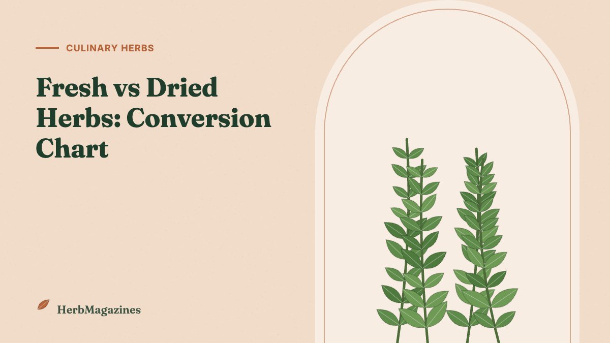 Fresh vs Dried Herbs: Conversion Chart and When to Use Each