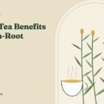 Ginger Tea Benefits and How to Make It With Fresh Root – HerbMagazines botanical illustration