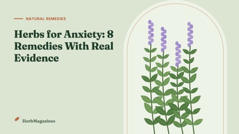 Herbs for Anxiety: 8 Natural Remedies With Real Evidence – HerbMagazines botanical illustration