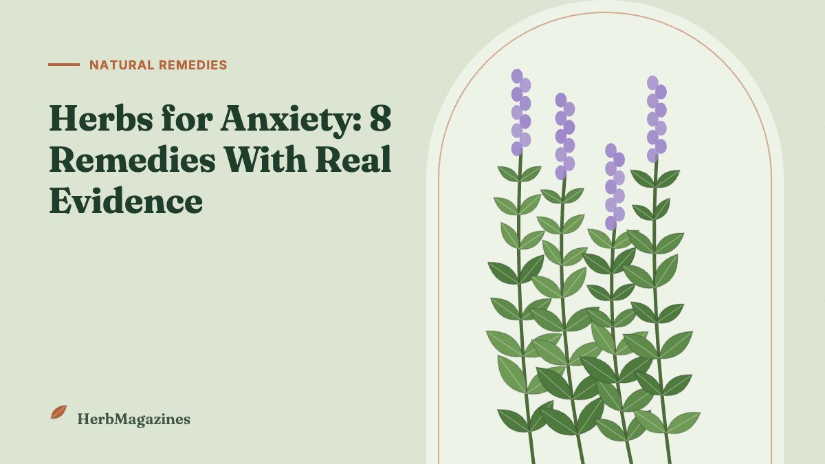 Herbs for Anxiety: 8 Natural Remedies With Real Evidence