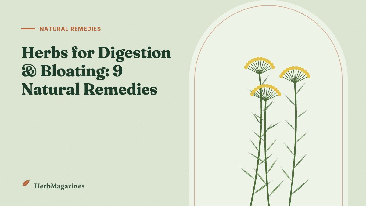 Herbs for Digestion and Bloating: 9 Natural Remedies That Help