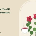 Hibiscus Tea and Blood Pressure: Benefits, Dosage and Risks – HerbMagazines botanical illustration