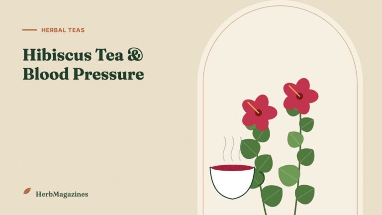 Hibiscus Tea and Blood Pressure: Benefits, Dosage and Risks – HerbMagazines botanical illustration