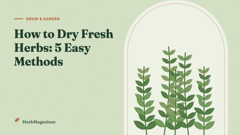 How to Dry Fresh Herbs: 5 Easy Methods Compared – HerbMagazines botanical illustration