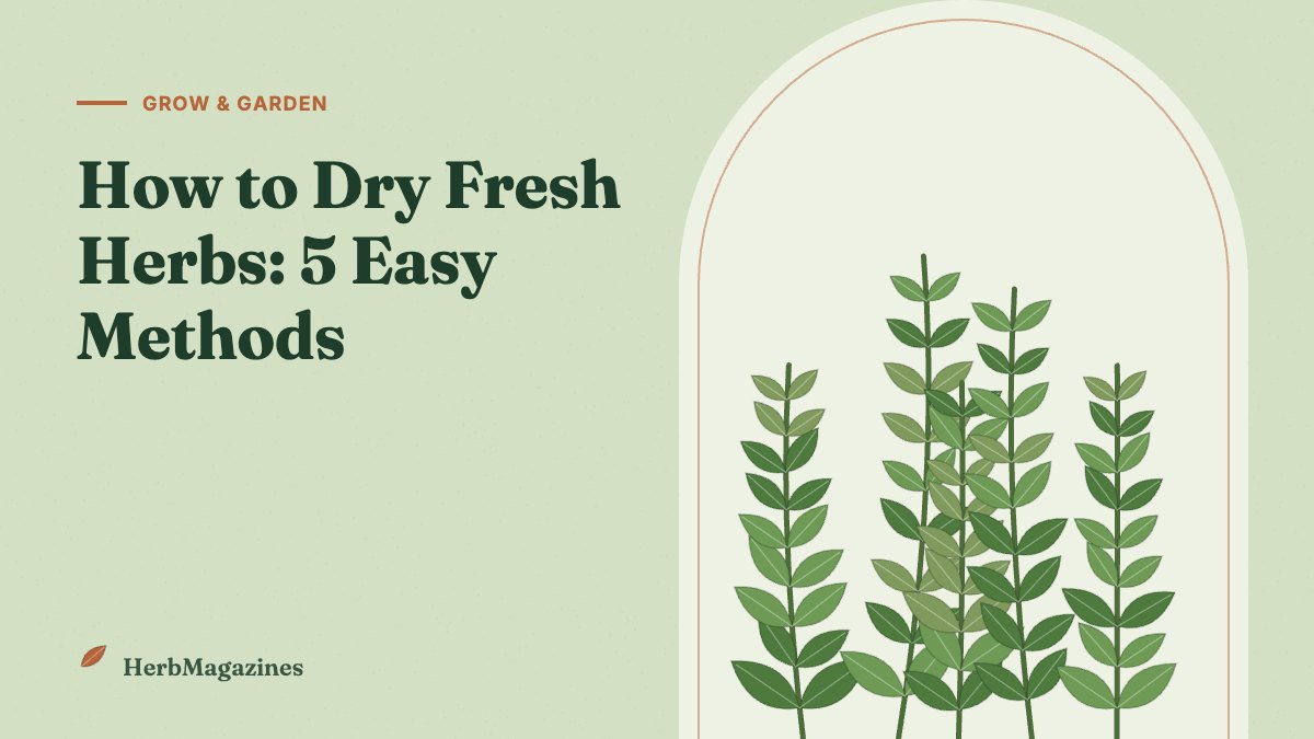 How to Dry Fresh Herbs: 5 Easy Methods Compared