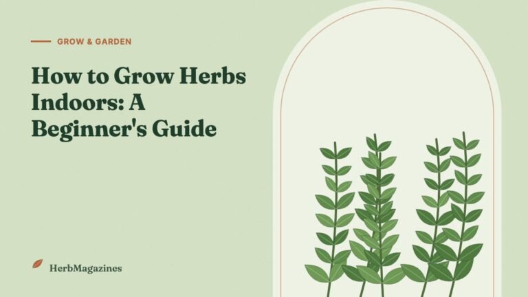 How to Grow Herbs Indoors: A Complete Beginner's Guide – HerbMagazines botanical illustration