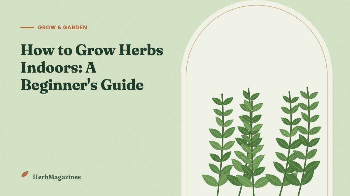 How to Grow Herbs Indoors: A Complete Beginner's Guide – HerbMagazines botanical illustration