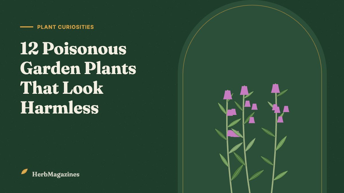 12 Poisonous Garden Plants That Look Harmless